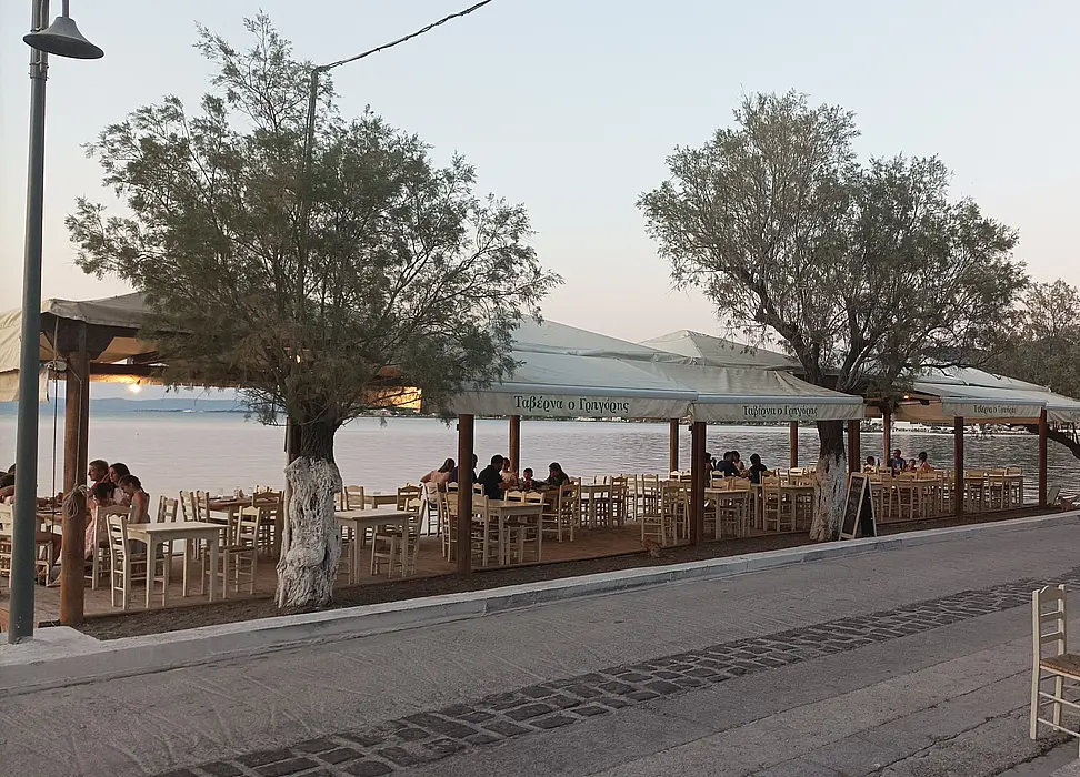 tavern tsitsanos